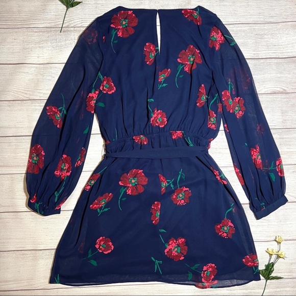 Gorgeous EUC V-neck express dress long sleeve - Picture 3 of 6